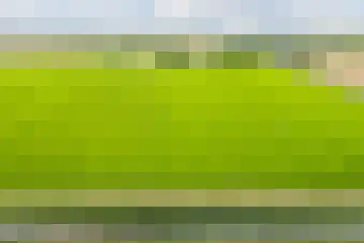 Warande 29 Callantsoog thumbnail 58