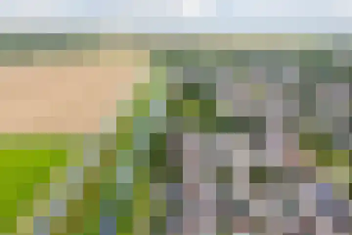 Warande 29 Callantsoog thumbnail 59