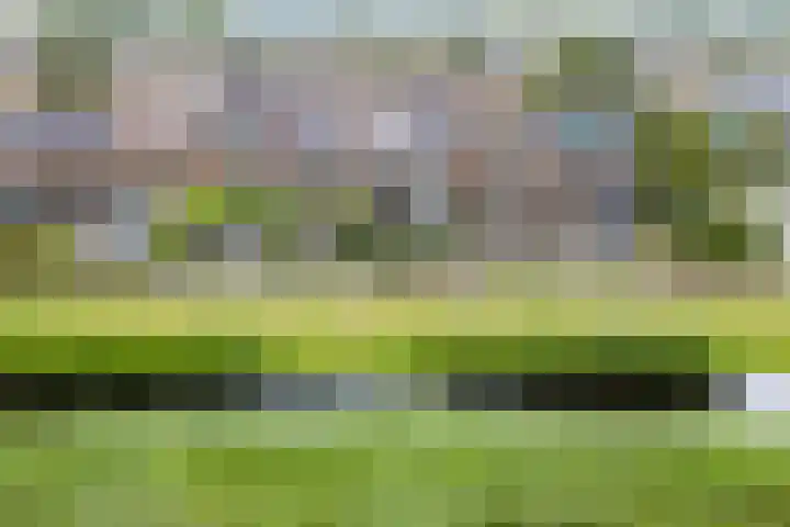 Warande 29 Callantsoog thumbnail 6