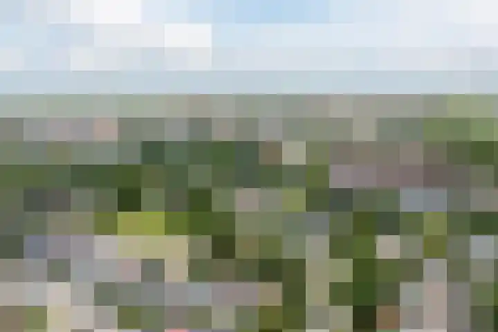 Warande 29 Callantsoog thumbnail 60