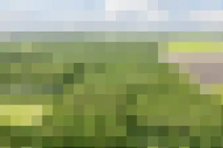 Warande 29 Callantsoog thumbnail 61