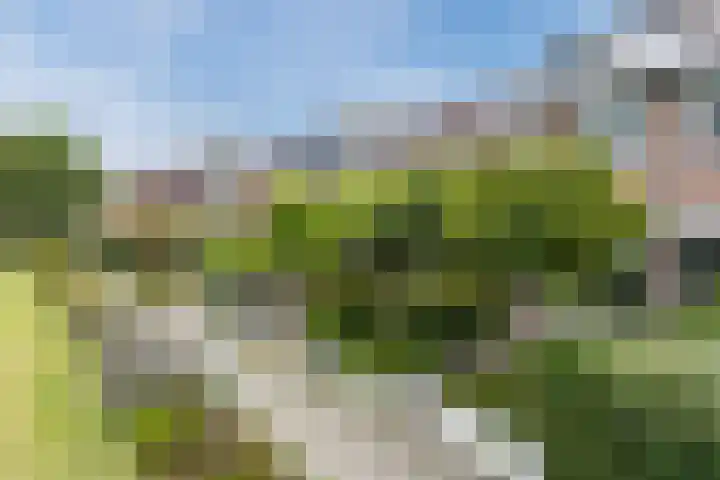 Warande 29 Callantsoog thumbnail 8