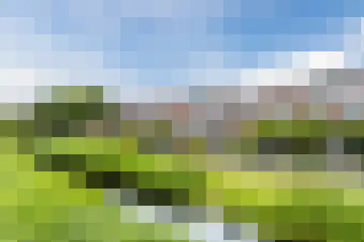 Warande 29 Callantsoog thumbnail 9