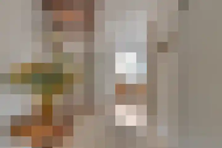 Warande 46 Eindhoven thumbnail 12