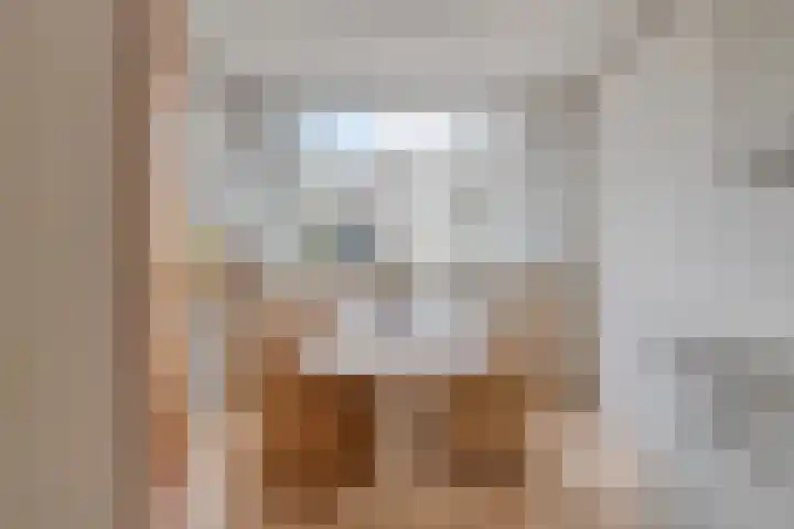 Warande 46 Eindhoven thumbnail 16