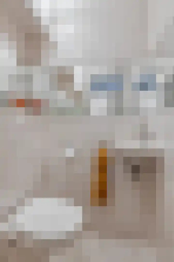 Warande 46 Eindhoven thumbnail 20