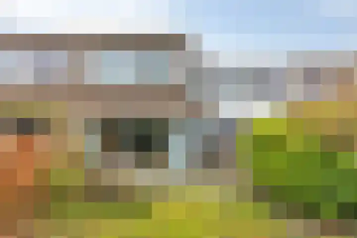 Warande 46 Eindhoven thumbnail 35