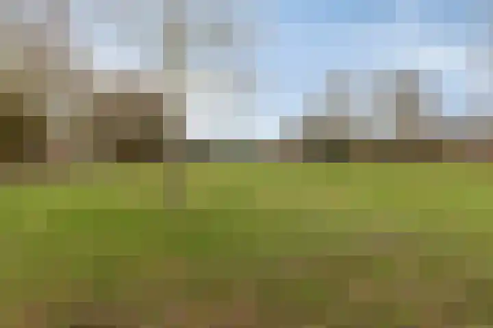 Warande 46 Eindhoven thumbnail 38