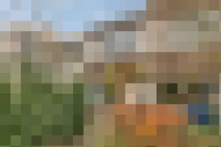 Warande 46 Eindhoven thumbnail 4