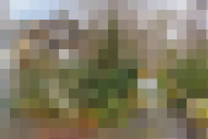 Warande 46 Eindhoven thumbnail 5
