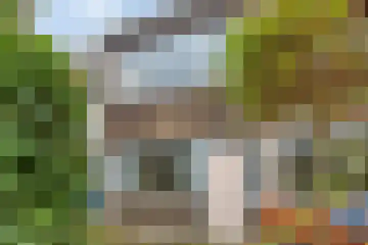 Warande 46 Eindhoven thumbnail 6