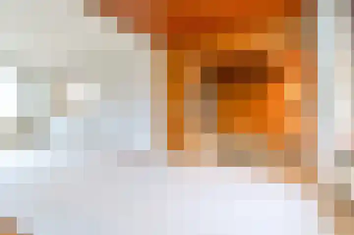 Warande 50 Beverwijk thumbnail 11