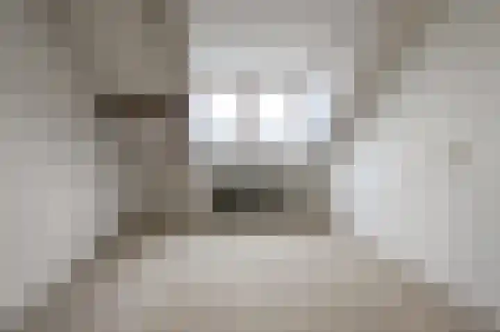 Warande 50 Beverwijk thumbnail 37