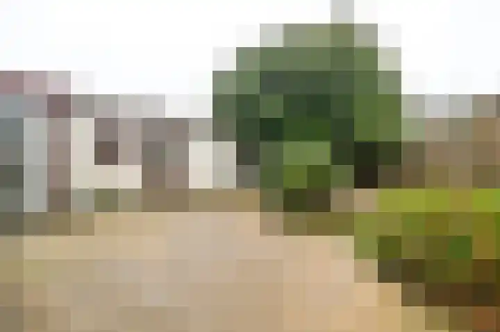 Warande 50 Beverwijk thumbnail 42