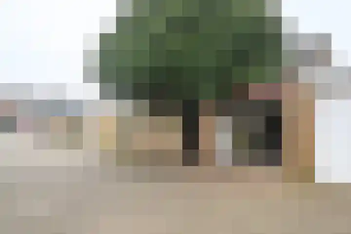 Warande 50 Beverwijk thumbnail 47