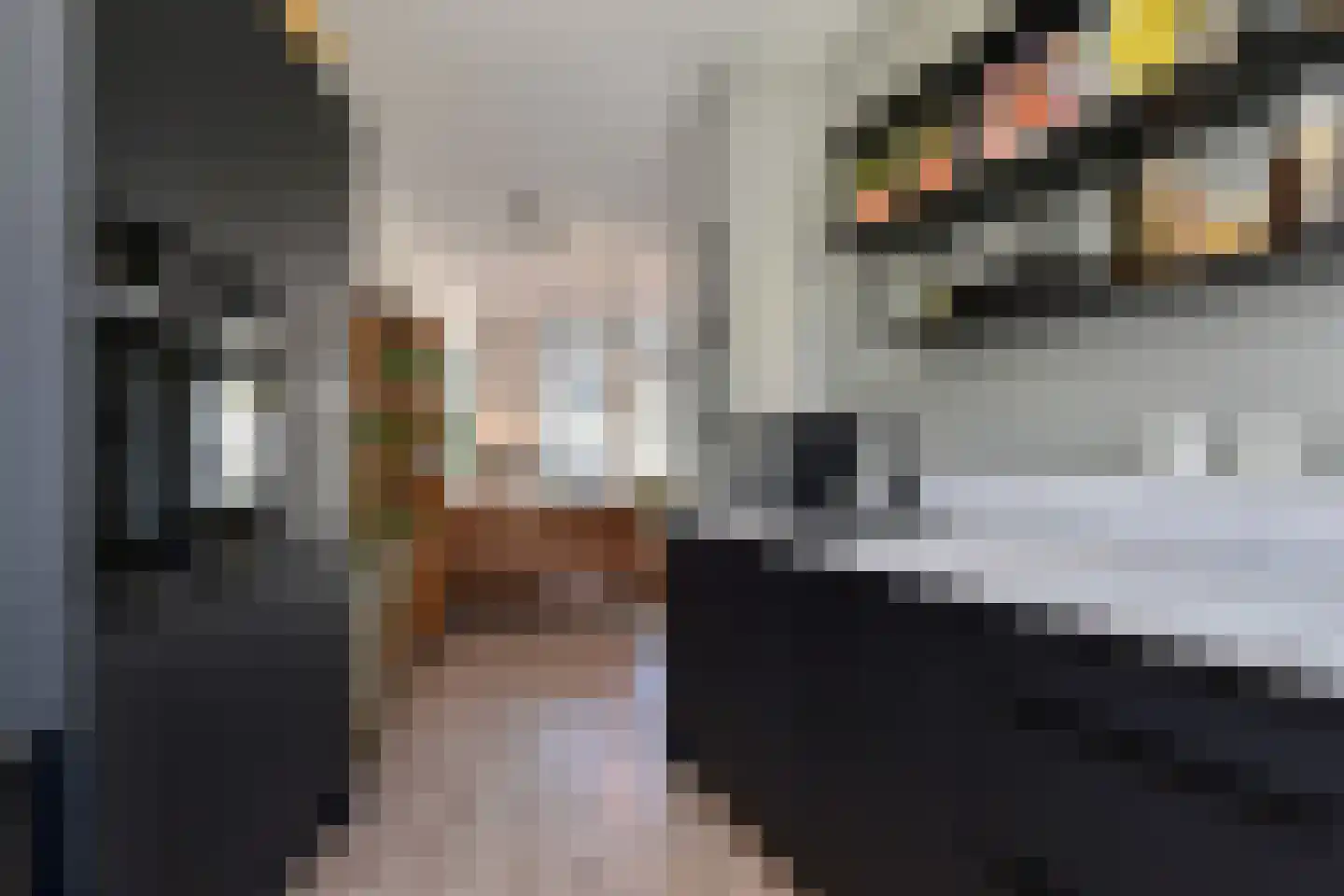 Warande 60 Rijswijk thumbnail 22