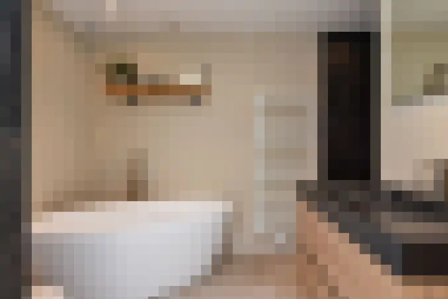 Warande 60 Rijswijk thumbnail 26