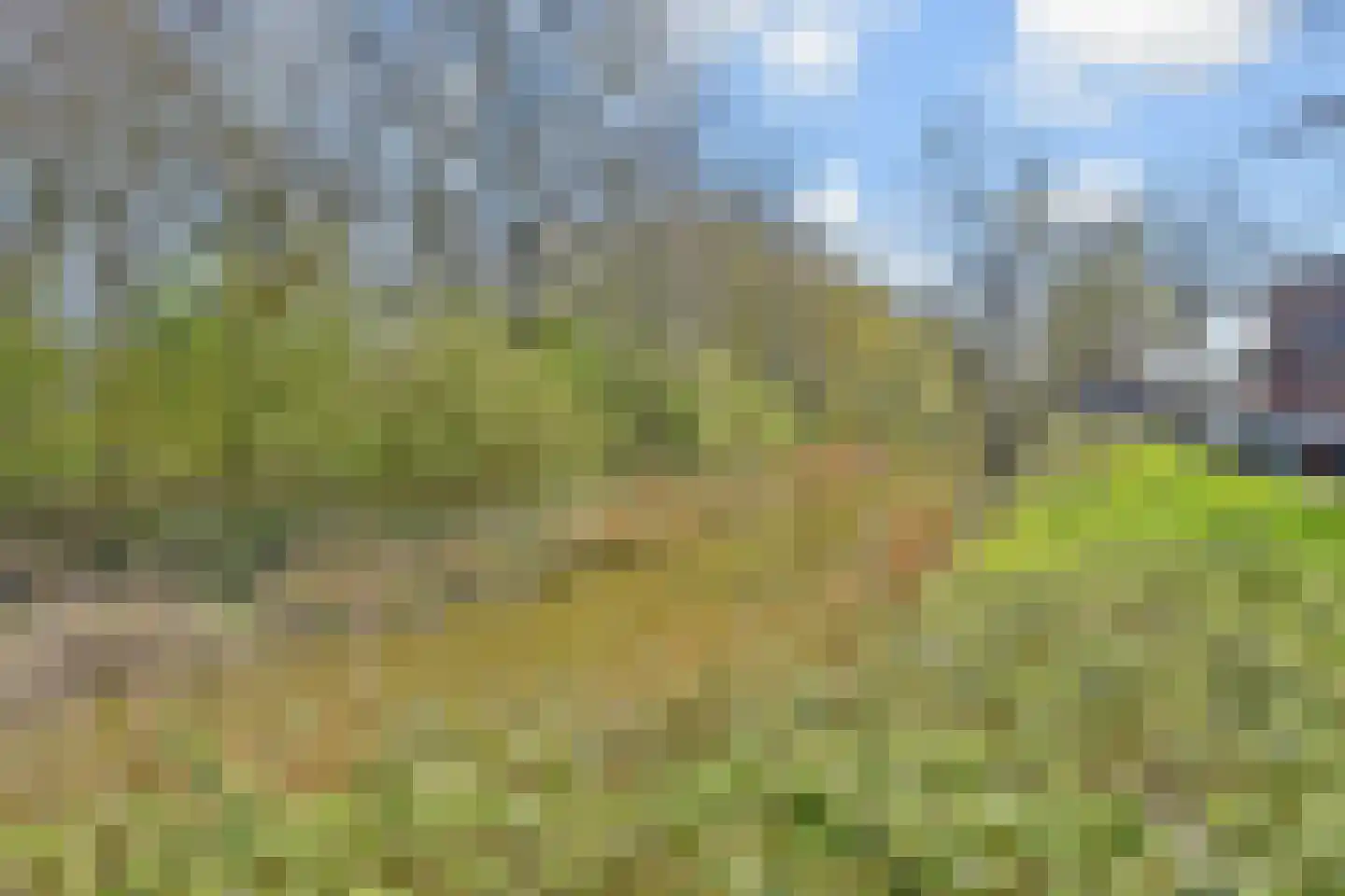Warande 60 Rijswijk thumbnail 40