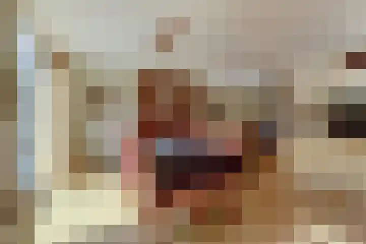Warande 74 Marknesse thumbnail 12