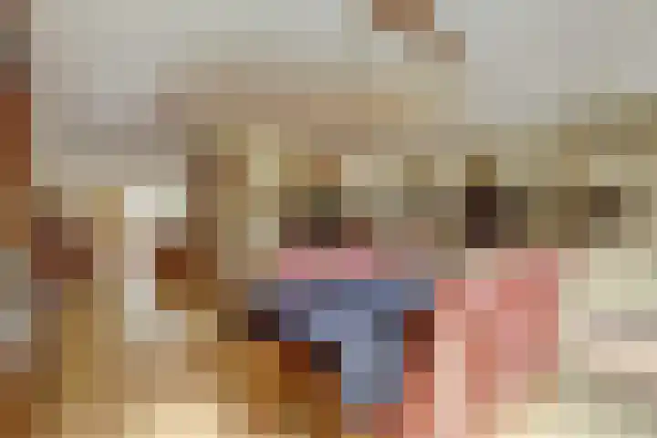 Warande 74 Marknesse thumbnail 13