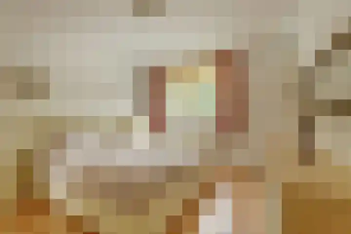 Warande 74 Marknesse thumbnail 19