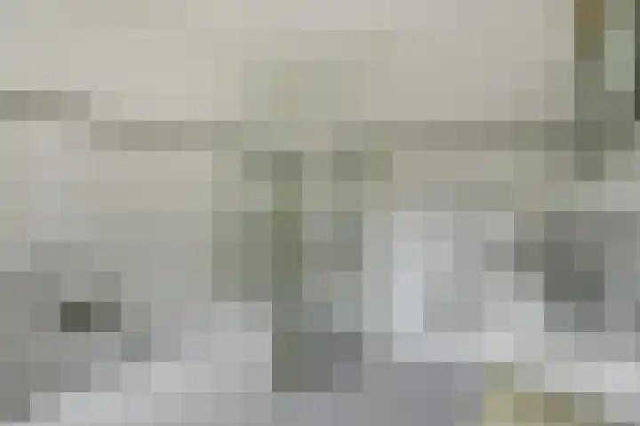 Warande 74 Marknesse thumbnail 21