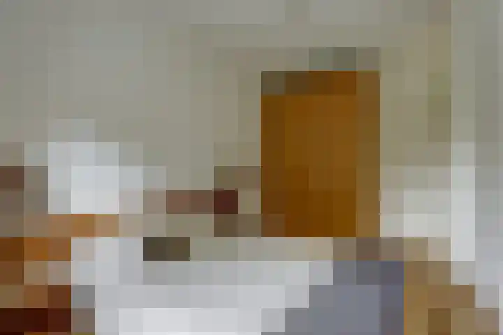 Warande 74 Marknesse thumbnail 23
