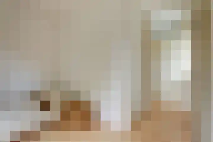 Warande 74 Marknesse thumbnail 25