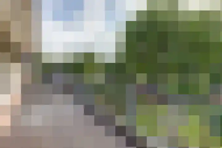 Warande 74 Marknesse thumbnail 26
