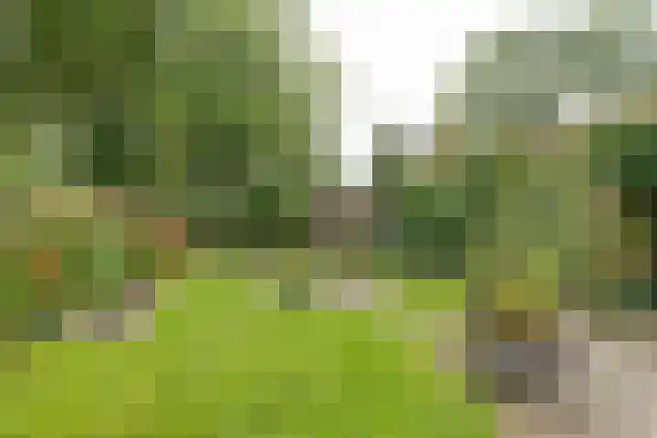 Warande 74 Marknesse thumbnail 30