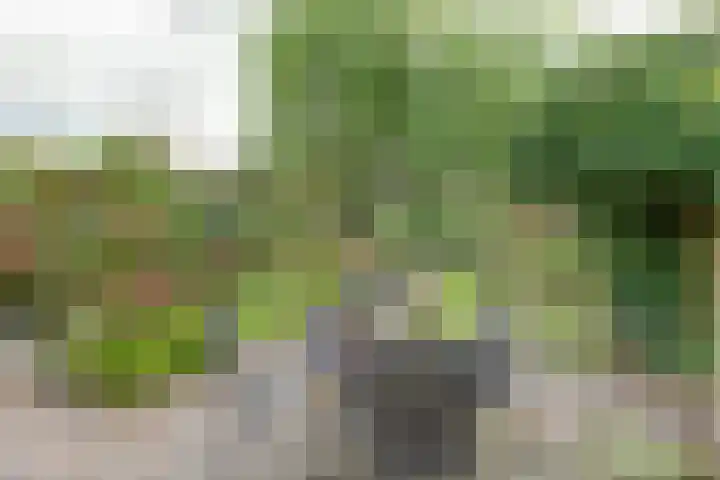 Warande 74 Marknesse thumbnail 31