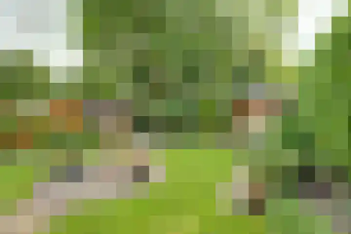 Warande 74 Marknesse thumbnail 32
