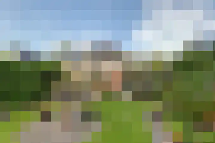 Warande 74 Marknesse thumbnail 33