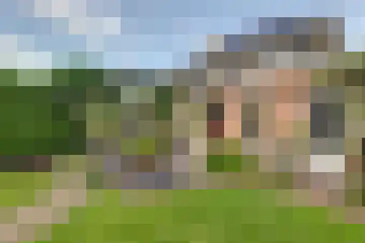 Warande 74 Marknesse thumbnail 34