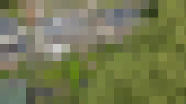 Warande 74 Marknesse thumbnail 37