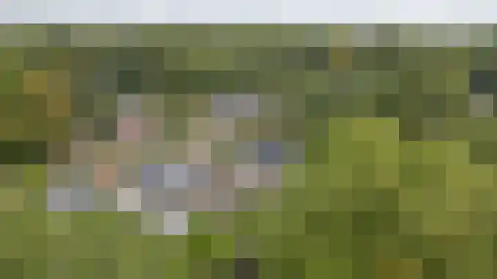 Warande 74 Marknesse thumbnail 38