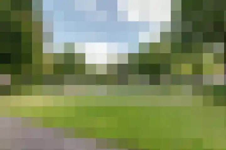 Warande 74 Marknesse thumbnail 39