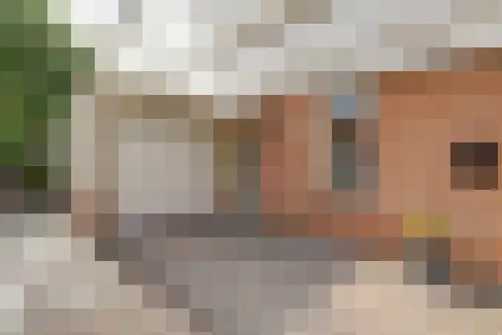 Warande 74 Marknesse thumbnail 4