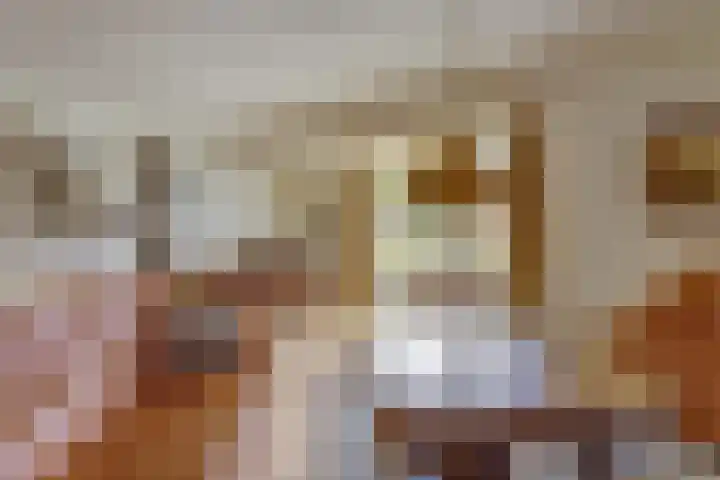 Warande 74 Marknesse thumbnail 9