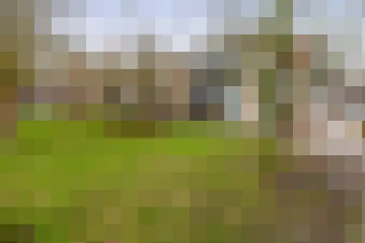 Warande 75 Rotterdam thumbnail 18