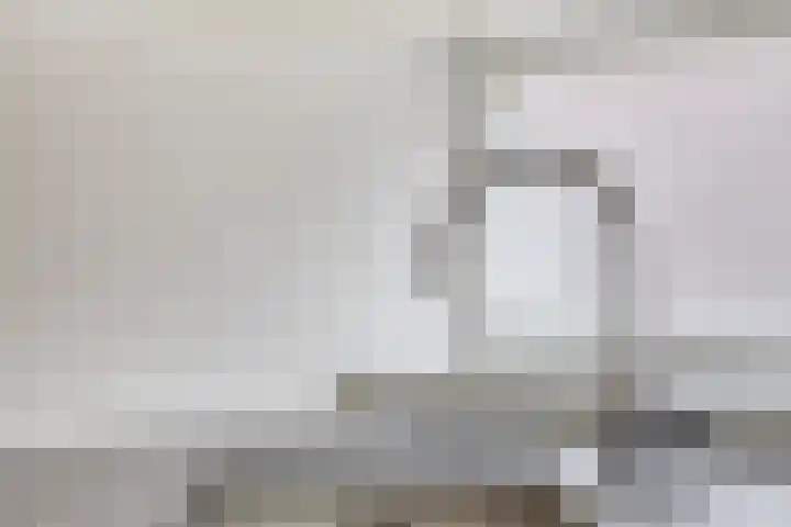 Warande 75 Rotterdam thumbnail 19