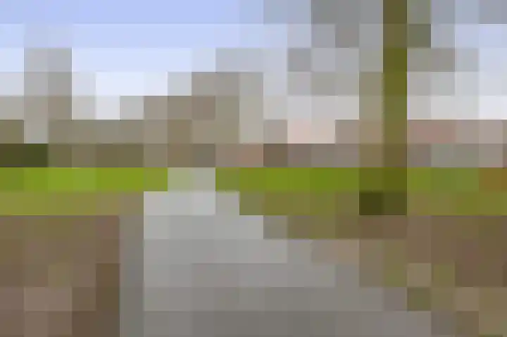Warande 75 Rotterdam thumbnail 19
