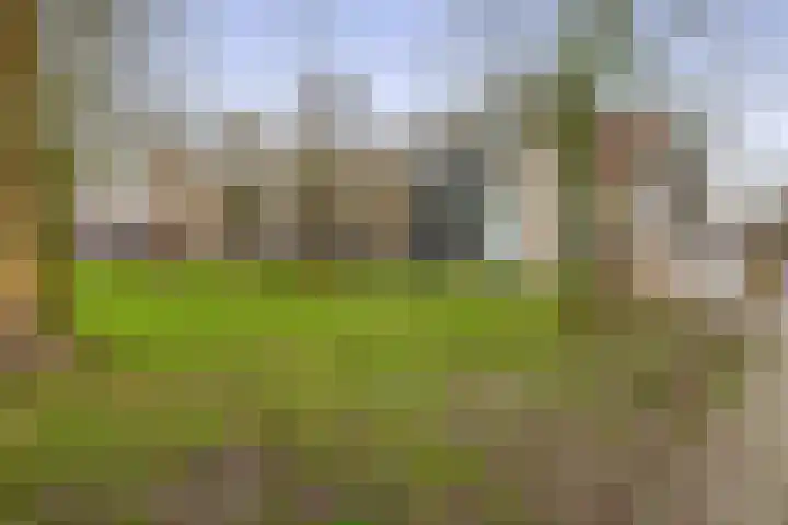 Warande 75 Rotterdam thumbnail 21