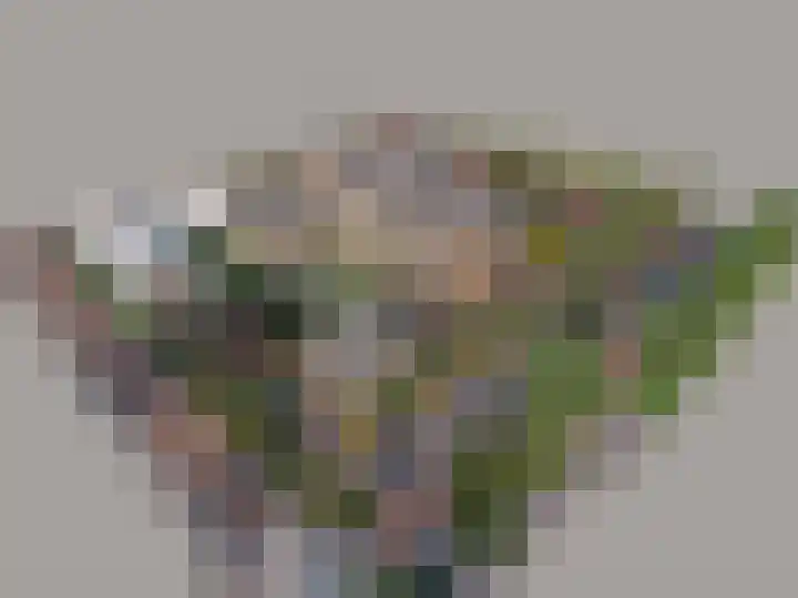 Warande 8 Valkenswaard thumbnail 6