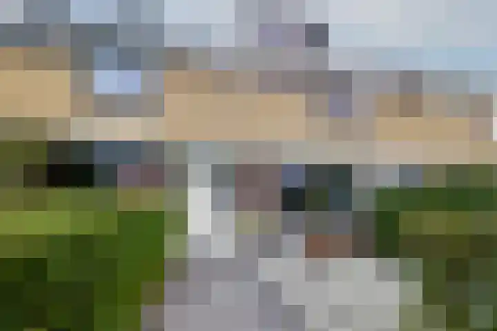 Warande 9 Heerjansdam
