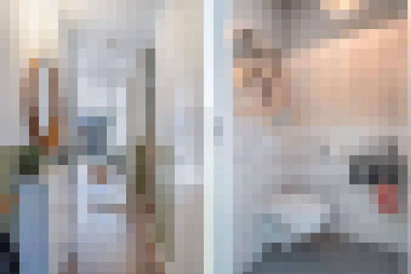 Warandebergstraat 6 Huizen thumbnail 6