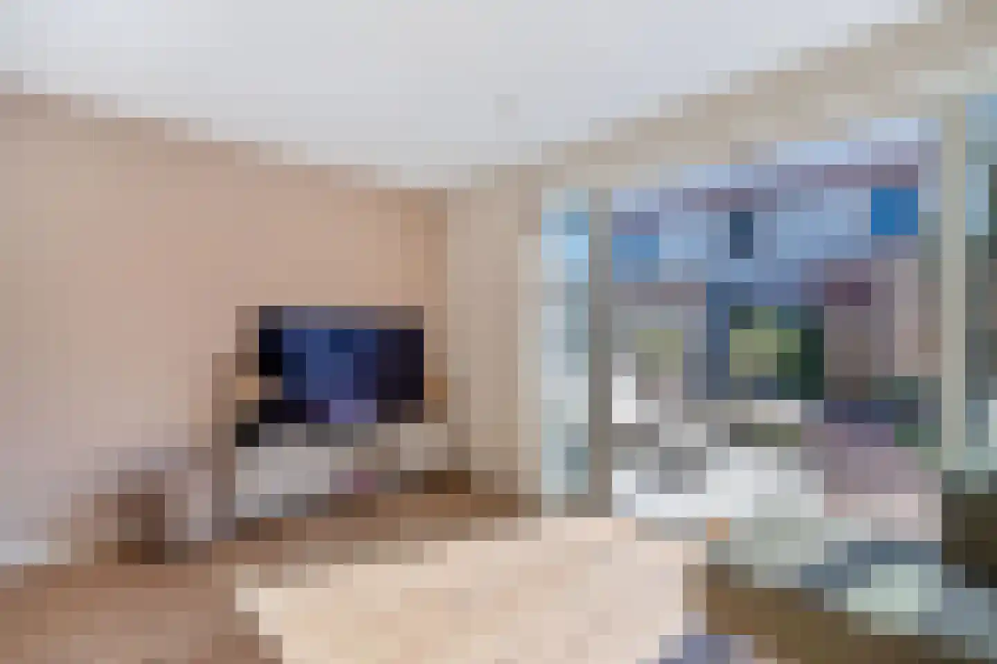 Warandebergstraat 6 Huizen thumbnail 8
