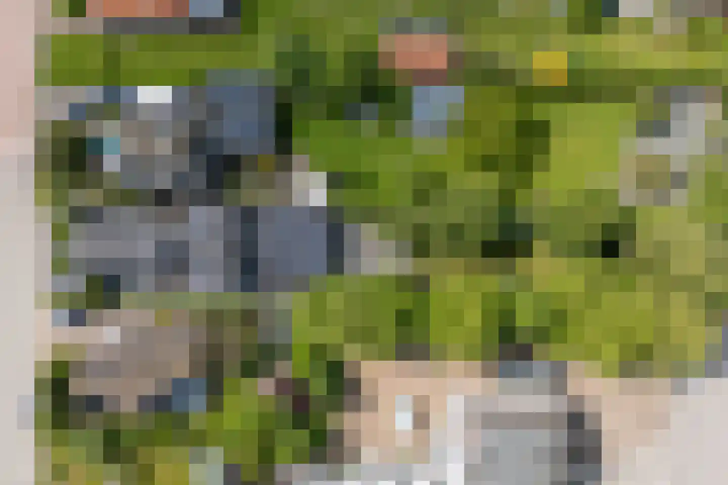Warder 174 Warder thumbnail 12