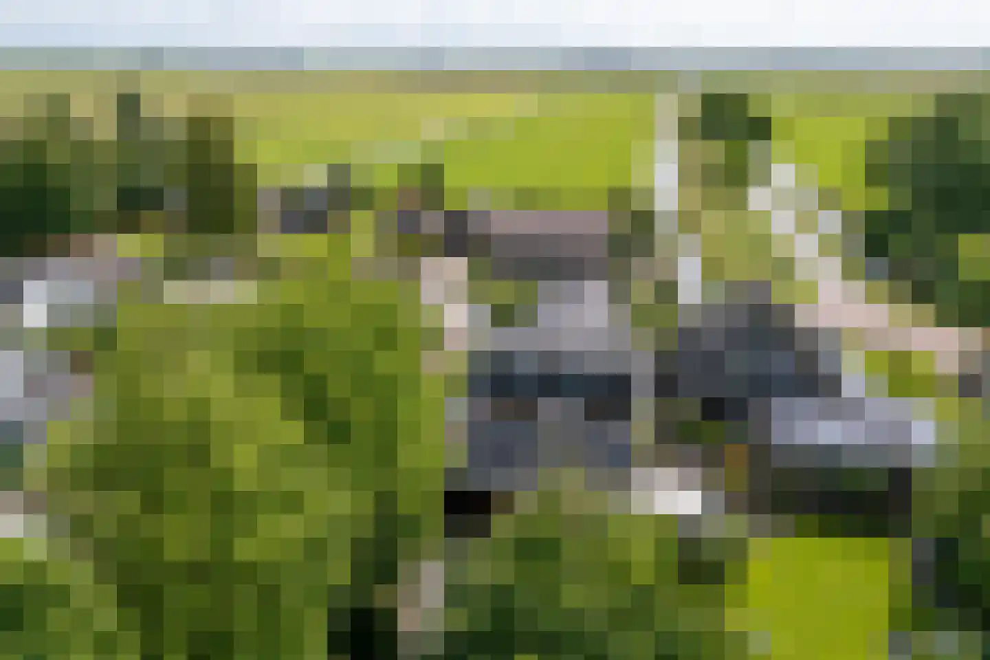 Warder 174 Warder thumbnail 17