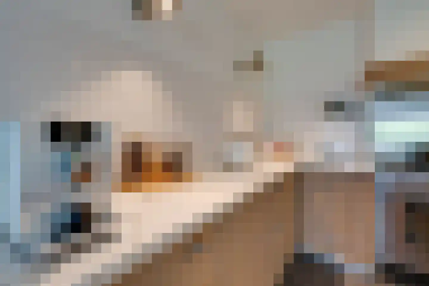 Warder 174 Warder thumbnail 42